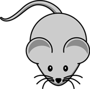 Image result for la souris web